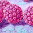 HPV - Human papilloma virus